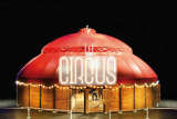 		Circus