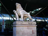 Linz under the Magnifying Glass / Lion in front of the train station