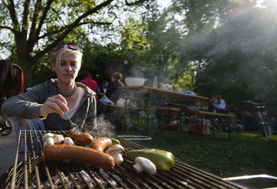 Cultural Capital's Neighbourhood of the Month - Vlkergarten